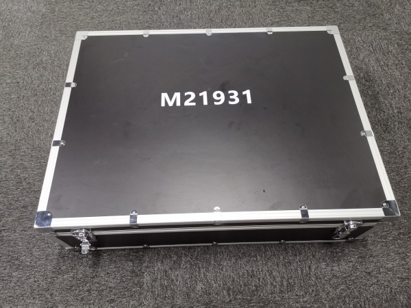 M21931