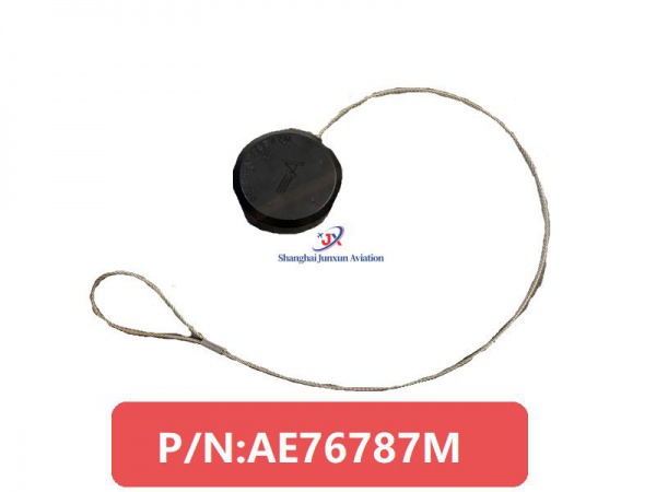 AE76787M
